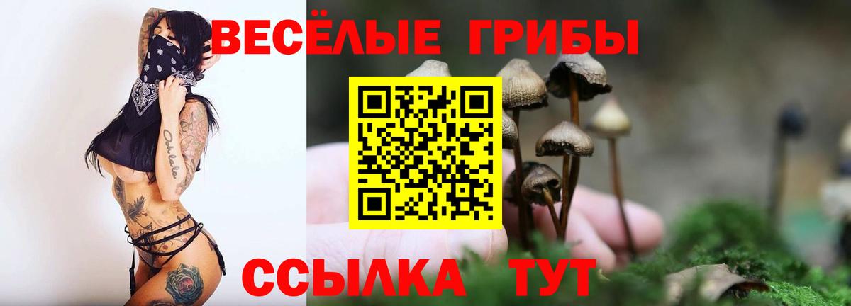даркнет сайт  Псилоцибиновые грибы ЛСД  Вход с VPN  Горячий Ключ  Галлюциногенные грибы Psilocybine cubensis 